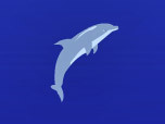 Dolphin Olympics