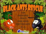 Black Ants Rescue